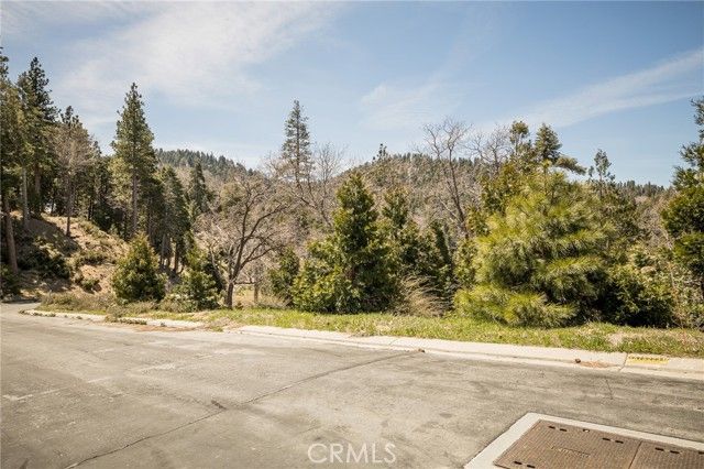 226 Hidden Forest Road, Lake Arrowhead, CA 92352