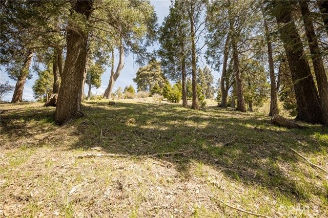 226 Hidden Forest Road, Lake Arrowhead, CA 92352