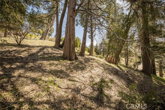 226 Hidden Forest Road, Lake Arrowhead, CA 92352