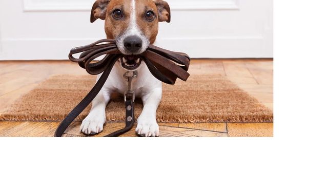 5200 Keller Springs Road 537, Dallas, TX 75248