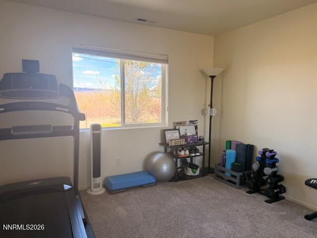 1147 White Oak Loop, Minden, NV 89423