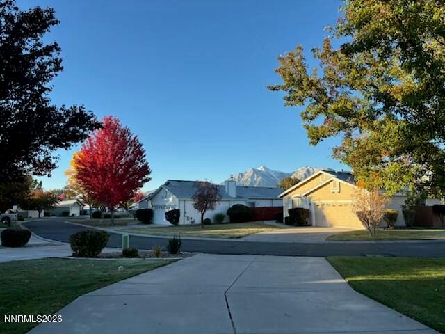 1147 White Oak Loop, Minden, NV 89423