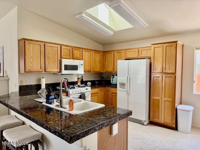 1147 White Oak Loop, Minden, NV 89423