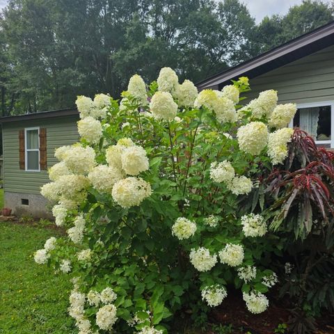 193 Penland Road, Inman, SC 29349