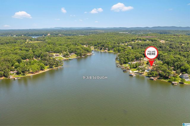 7023 BLACKBERRY LANE, Pell City, AL 35128