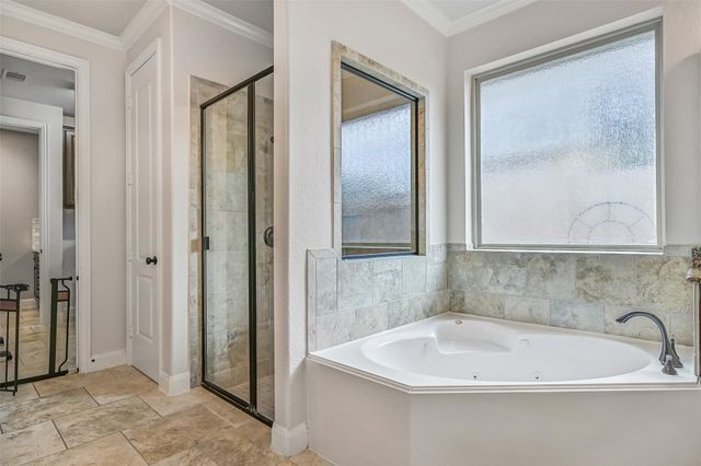 1008 Point Isabel Lane, Friendswood, TX 77546