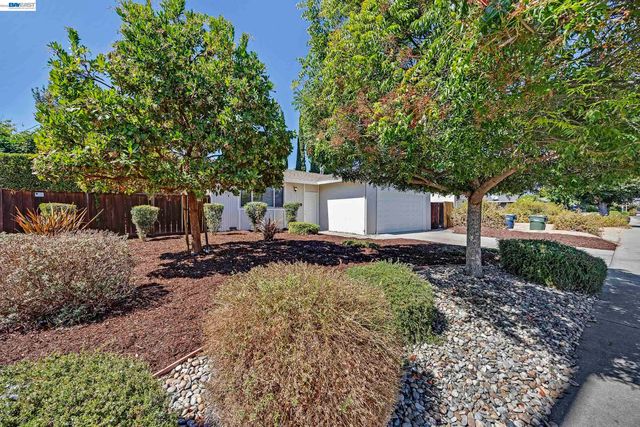 319 Elvira, Livermore, CA 94550