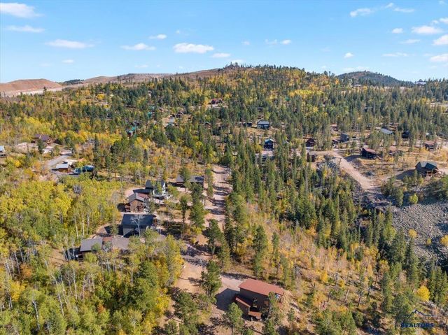 21173 TURKEY TRAIL, Lead, SD 57754