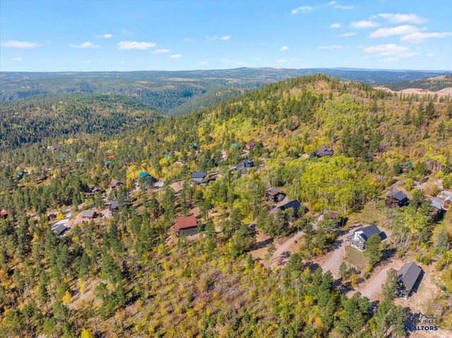 21173 TURKEY TRAIL, Lead, SD 57754
