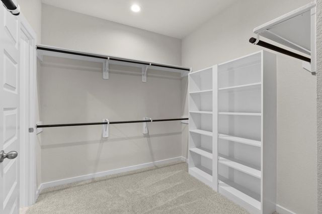 3834 Downy Birch Lane, Houston, TX 77084