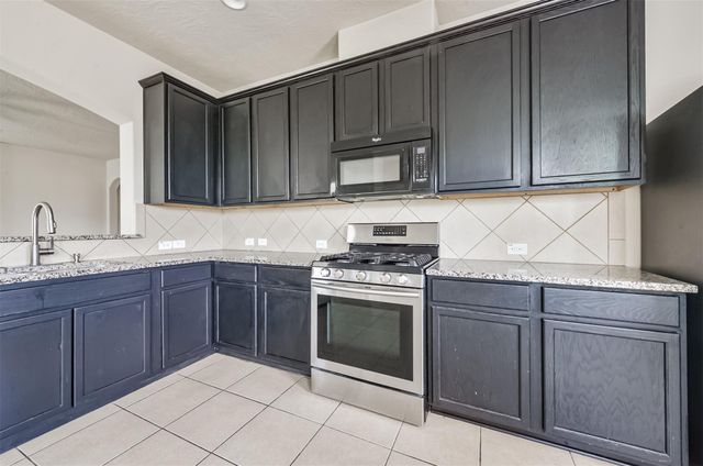 3122 Palacious Falls Lane, Katy, TX 77449