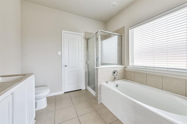 3122 Palacious Falls Lane, Katy, TX 77449