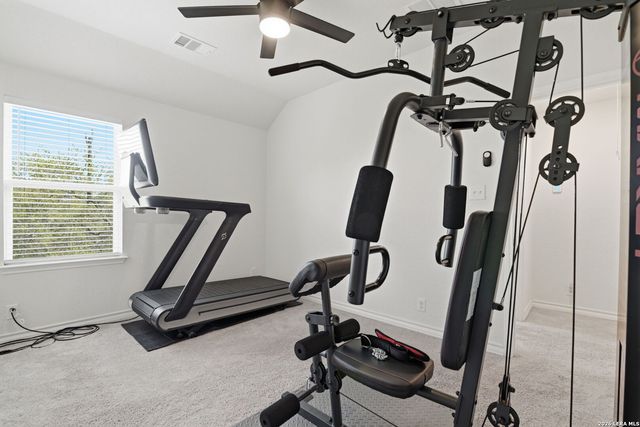 1646 pitcher, San Antonio, TX 78253