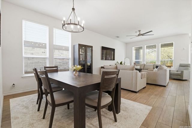 1646 pitcher, San Antonio, TX 78253