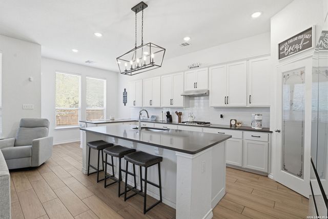 1646 pitcher, San Antonio, TX 78253