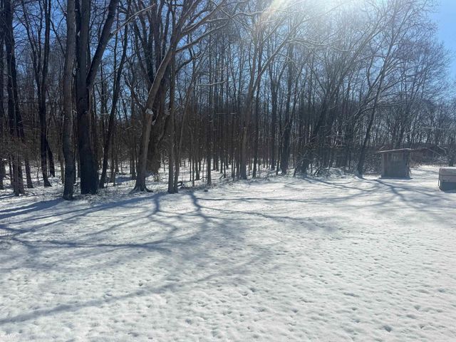 3915 Gregory Road, Iosco Twp, MI 48137