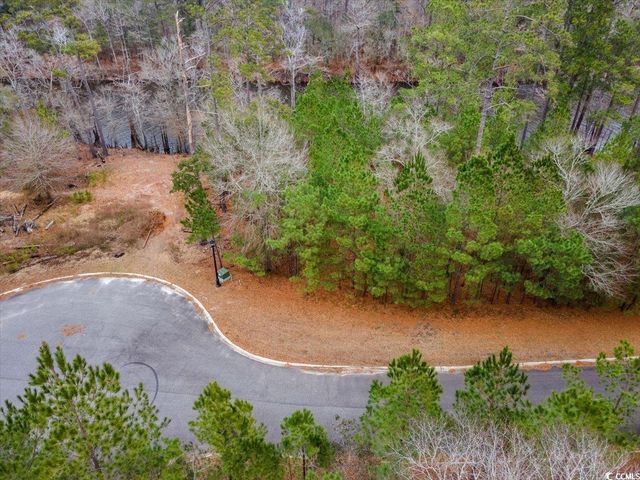 305 Cypress Flat Ct., Conway, SC 29526