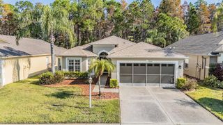 1143 DUSTAN PLACE, Trinity, FL 34655