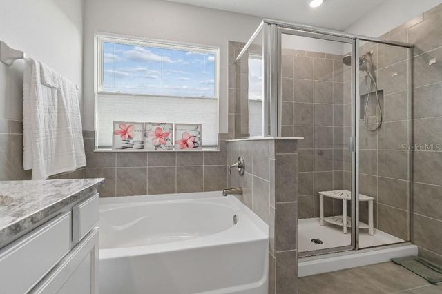116 BRIGHT IBIS AVENUE, Apollo Beach, FL 33572