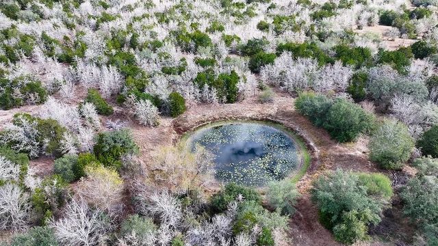 TBD Wetjen LN., West Point, TX 78963