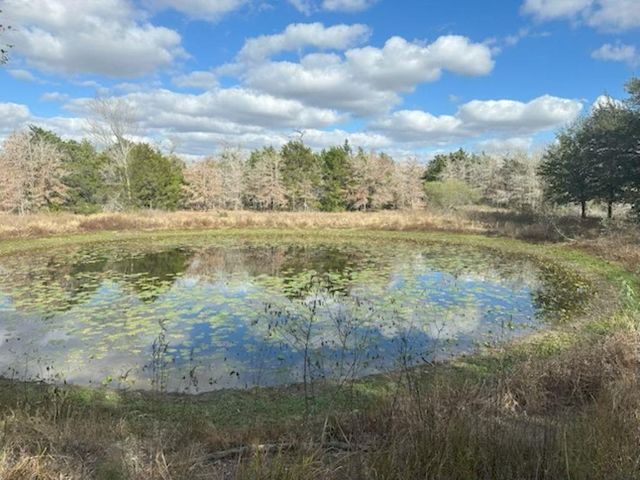 TBD Wetjen LN., West Point, TX 78963