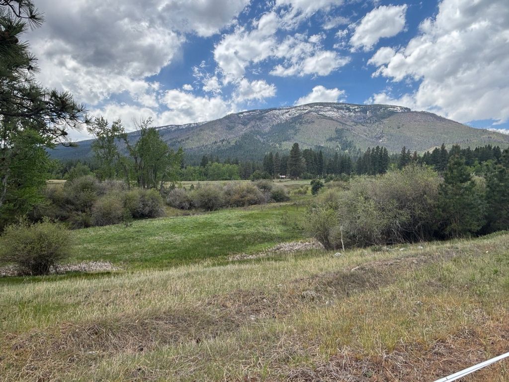 257 N Gold Creek Loop, Hamilton, MT 59840 photo 5