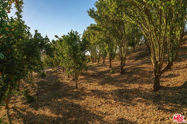 27120 Avenida Del Oro, Temecula, CA 92590