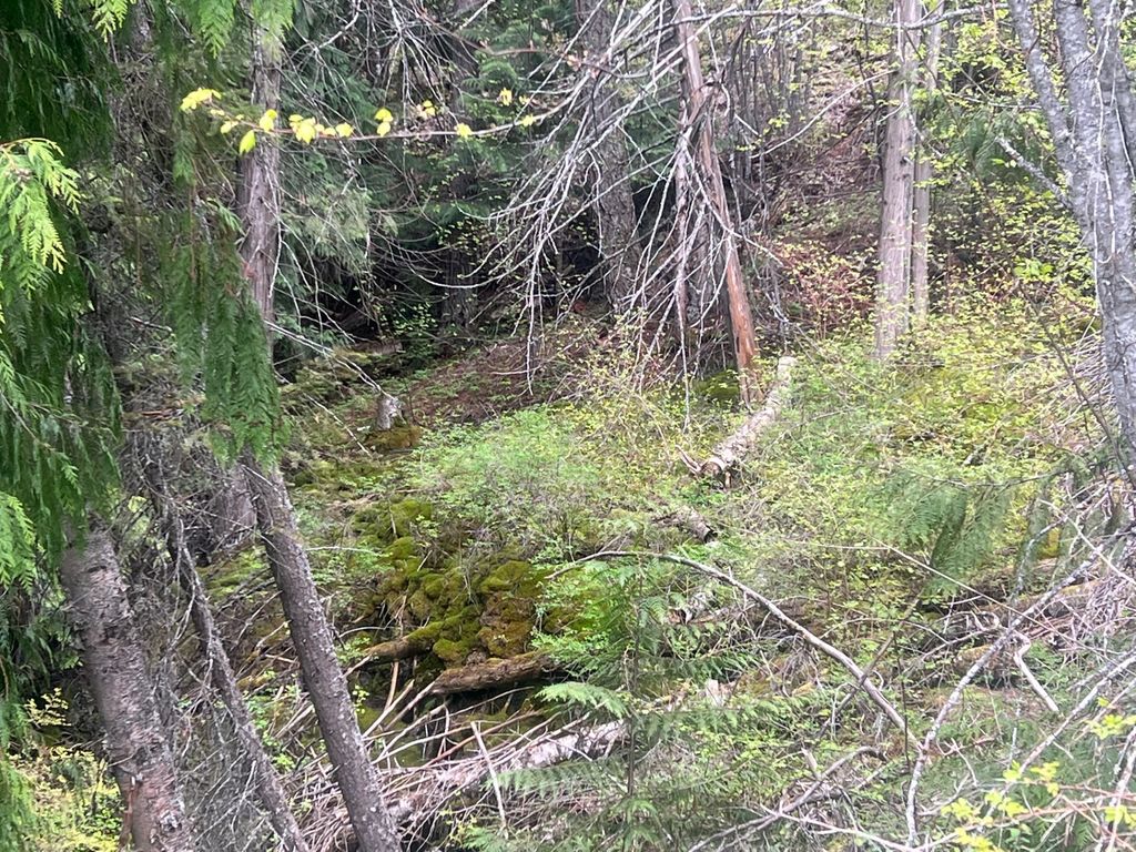 Image 109 of property listing at 10809 Us Highway 2 N, Troy, MT 59935