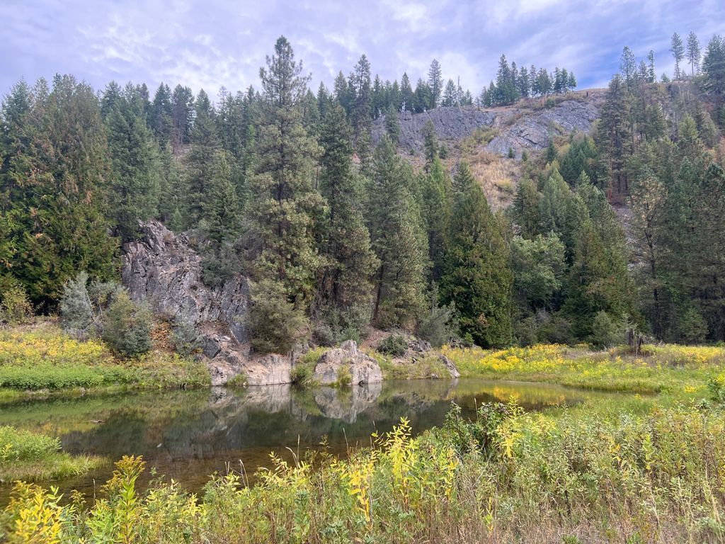 Image 124 of property listing at 10809 Us Highway 2 N, Troy, MT 59935