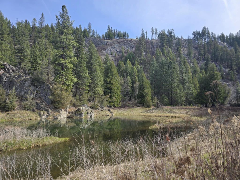 Image 15 of property listing at 10809 Us Highway 2 N, Troy, MT 59935