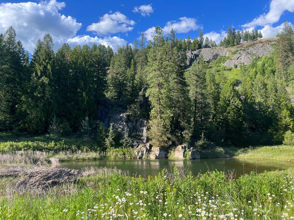 Image 36 of property listing at 10809 Us Highway 2 N, Troy, MT 59935