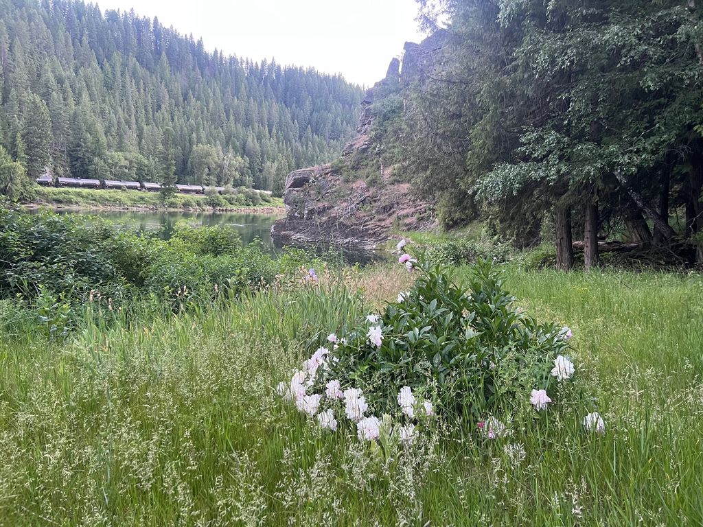 Image 37 of property listing at 10809 Us Highway 2 N, Troy, MT 59935