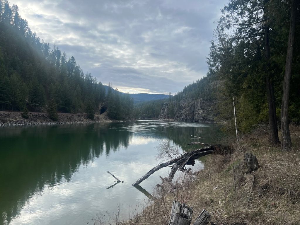 Image 77 of property listing at 10809 Us Highway 2 N, Troy, MT 59935