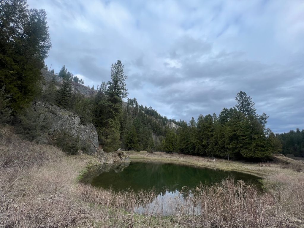 Image 81 of property listing at 10809 Us Highway 2 N, Troy, MT 59935