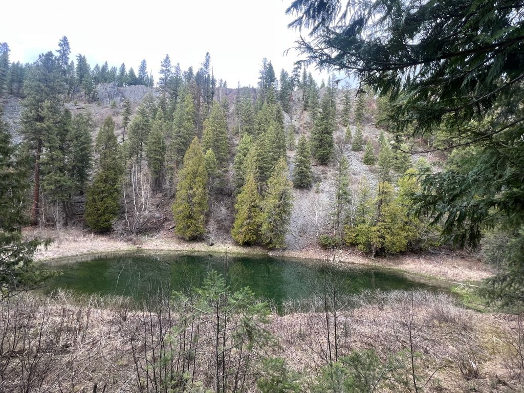 Image 85 of property listing at 10809 Us Highway 2 N, Troy, MT 59935