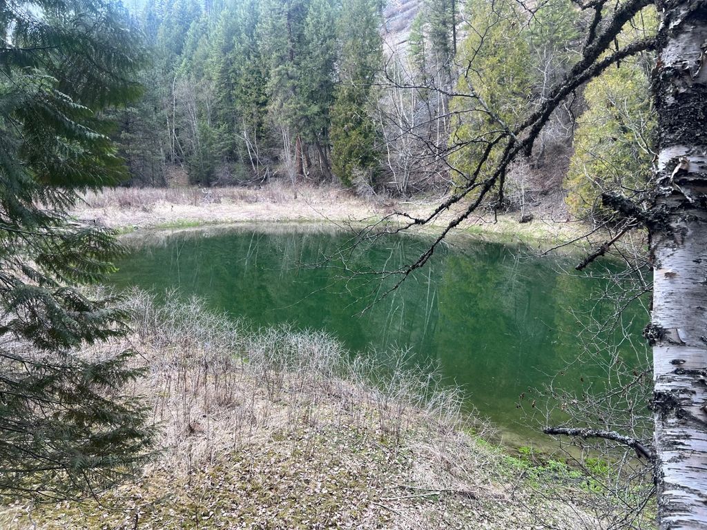 Image 86 of property listing at 10809 Us Highway 2 N, Troy, MT 59935