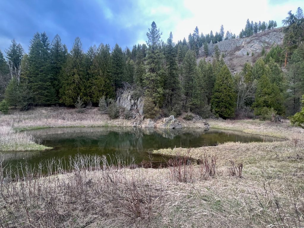 Image 98 of property listing at 10809 Us Highway 2 N, Troy, MT 59935