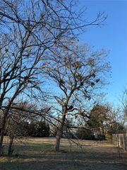 208 John Fielder Drive, Southmayd, TX 75092