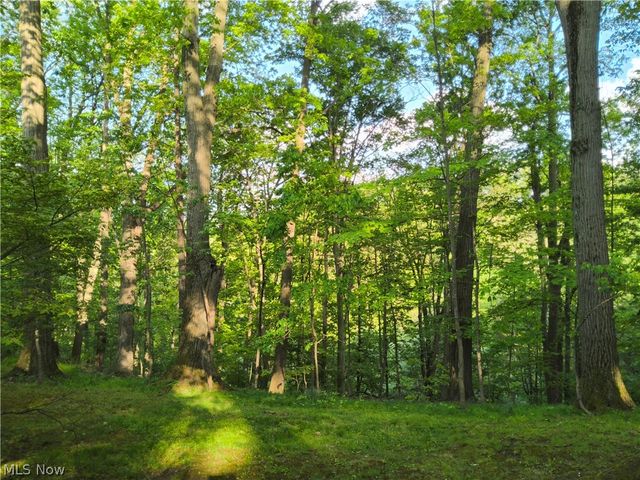 35970 Timber Ridge Lane, Willoughby, OH 44094