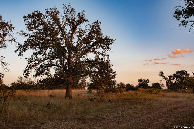 12805 Blackjack Rd, Mason, TX 76842