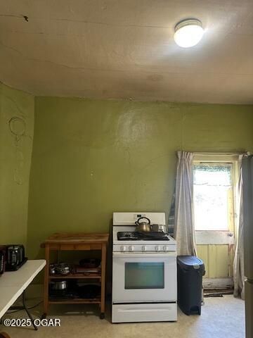 311 S Ripley Street, Neosho, MO 64850