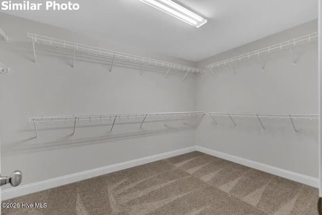 701 Puppy Drum Lane, Maysville, NC 28555