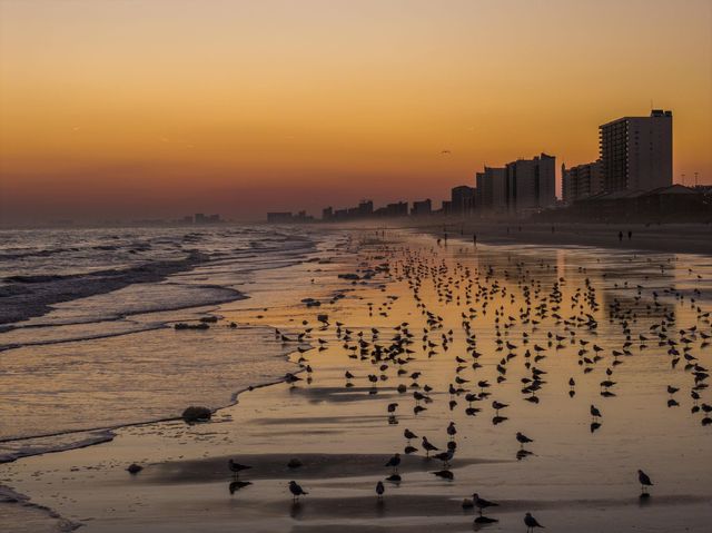 870 Fairway Dr. 602CC, Longs, SC 29568