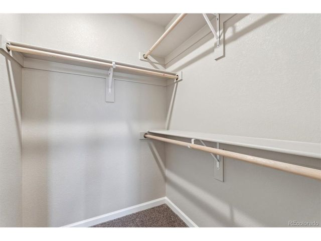 299 Shoveler Way, Johnstown, CO 80534