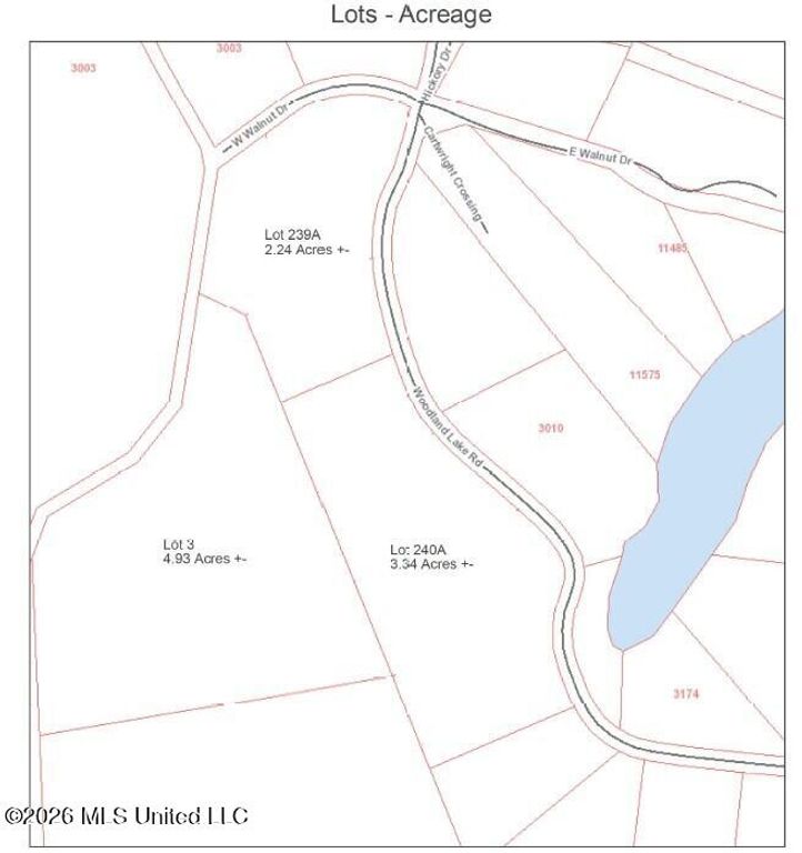 Woodland Lake Drive, Hernando, MS 38632 — exterior