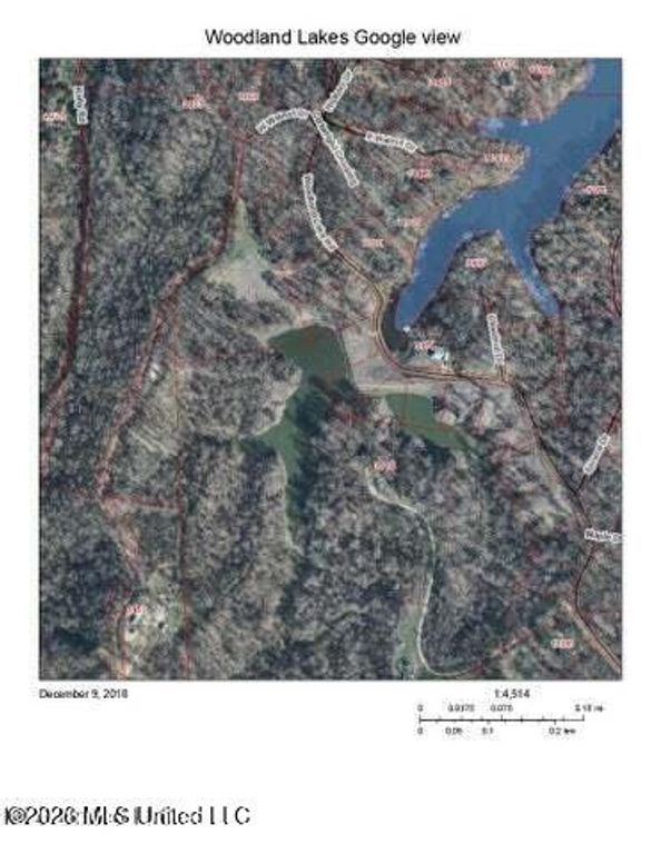 Woodland Lake Drive, Hernando, MS 38632 — photo 3