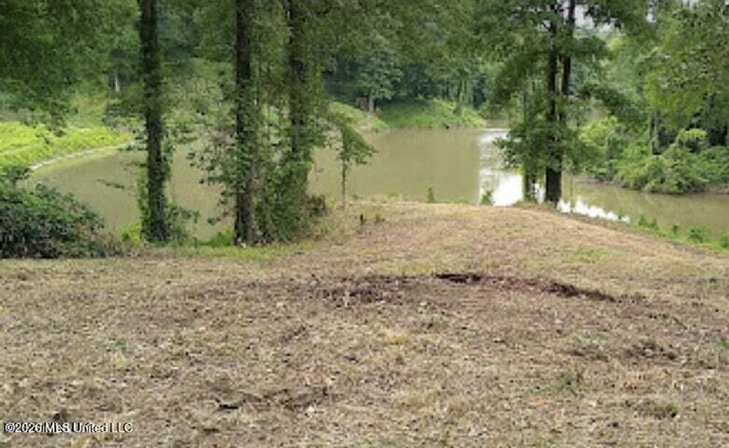 Woodland Lake Drive, Hernando, MS 38632 — photo 4