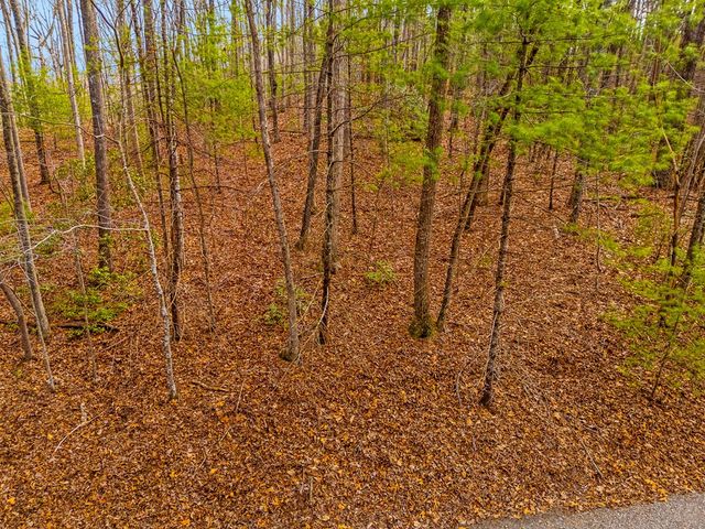 1.03 ac Guy Eller Road, Murphy, NC 28906