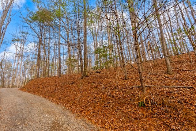 1.03 ac Guy Eller Road, Murphy, NC 28906