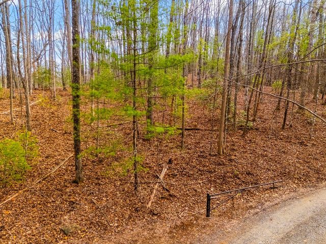 1.03 ac Guy Eller Road, Murphy, NC 28906